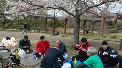 グループホームのお花見