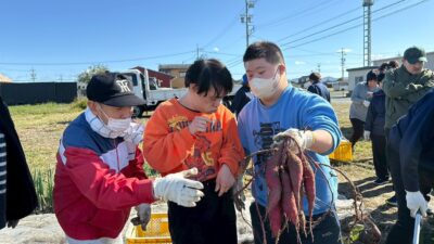 みんなでさつまいも掘り！